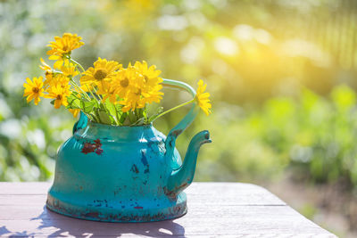 Yellow daisies in summer day in old rustic turquoise teapot