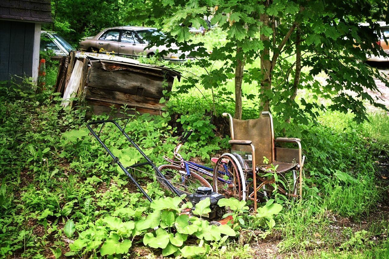 ABANDONED CART ON GRASS