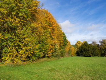 Trees on field against sky during autumn