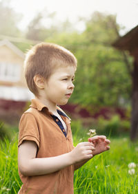 A boy of 5 years old holds a dandelion in the summer outside in the village on a sunny day