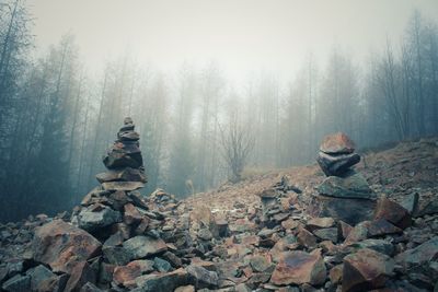 Stone stack on rock in forest during winter