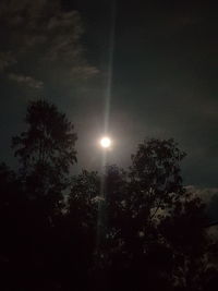 Low angle view of silhouette trees against sky at night