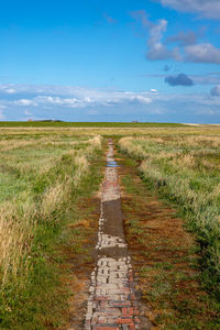 Dirt road amidst field against sky