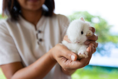 Asian woman holding white baby bunny on hand with tenderness. friendship with cute easter bunny.