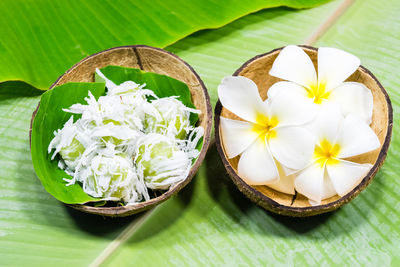 Close-up of white flowering plant on table
