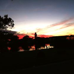 Silhouette trees at sunset