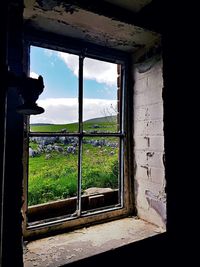 Plants seen through window of abandoned house