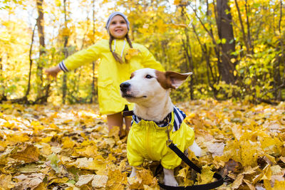 Full length of a dog in autumn leaves