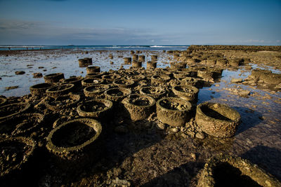 Scenic view of sea shore against sky