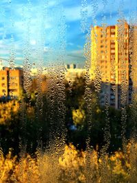 Full frame shot of wet glass window