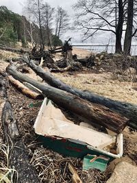 Stack of logs on field