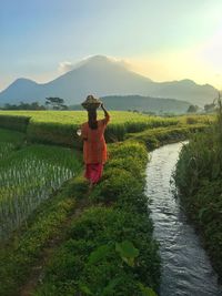 Rear view of woman walking on field against sky