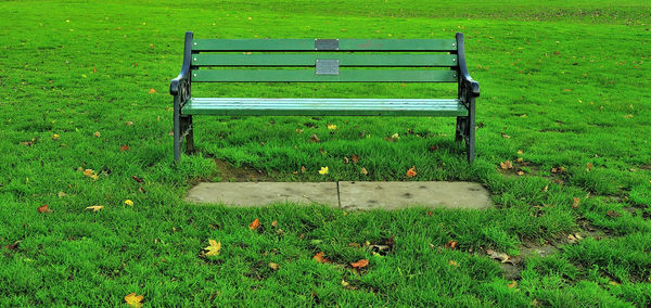 Empty bench on field in park