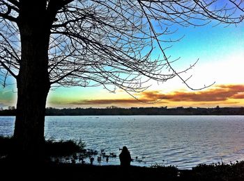 Silhouette of bare trees by lake at sunset