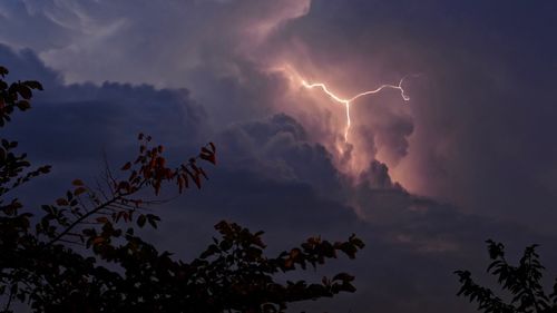 Low angle view of lightning in sky