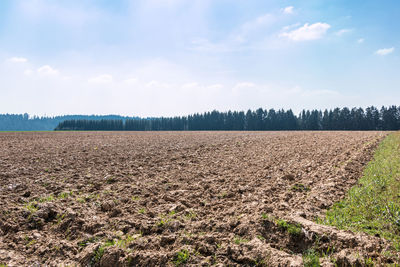 Scenic view of agricultural field against sky