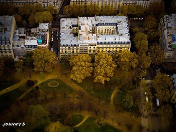 High angle view of trees and buildings in city