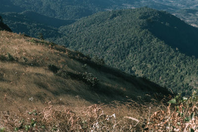 High angle view of land