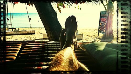 Rear view of people sitting on beach