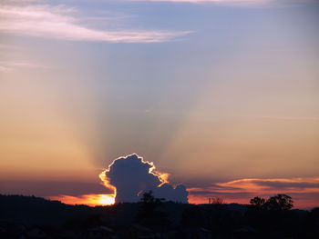 Silhouette trees on landscape against sky during sunset