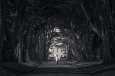 Rear view of woman walking amidst trees