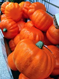 High angle view of pumpkins in market