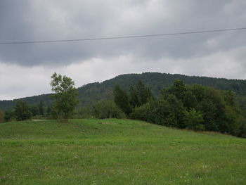 Scenic view of trees on field against sky