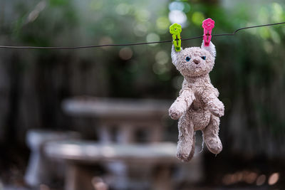 Close-up of stuffed toy hanging on rope