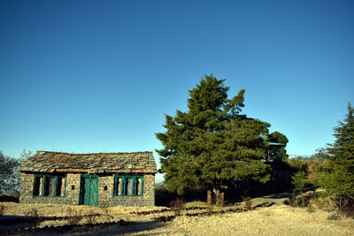 Trees and houses on field against clear blue sky