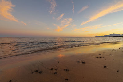 Scenic view of beach against sky during sunset