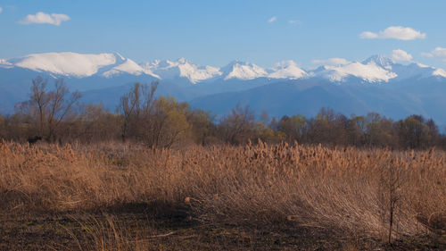 Scenic view of field and mountains against sky