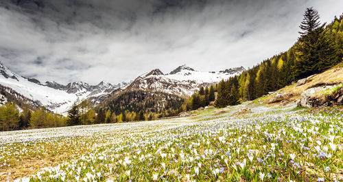 Scenic view of snowcapped mountains against sky