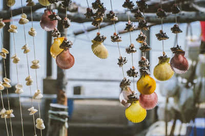 Close-up of christmas tree