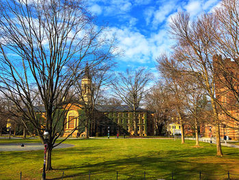 Trees in park against sky