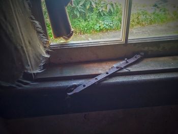 Close-up of window sill at home