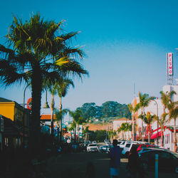 Palm trees by city street against sky