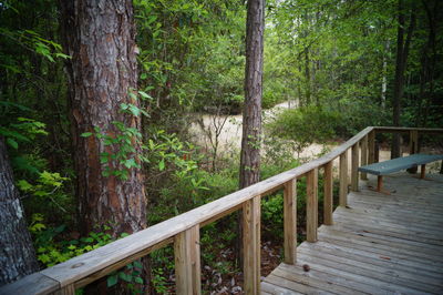 Wooden railing by trees in forest