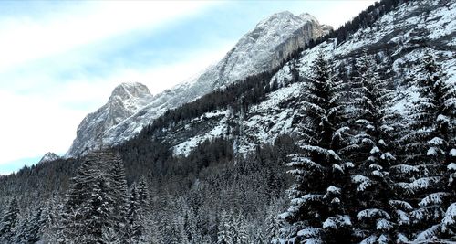 Low angle view of snowcapped mountain against sky