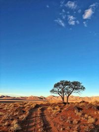 Scenic view of landscape against clear blue sky