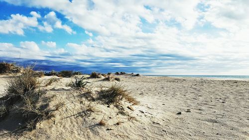 Panoramic view of beach against sky