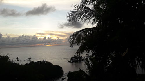 Silhouette palm trees by sea against sky during sunset