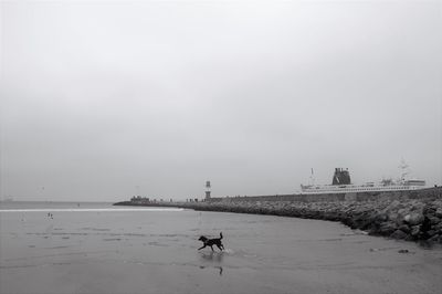 Man walking on beach against clear sky