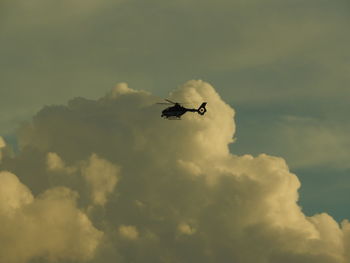 Low angle view of bird flying in sky