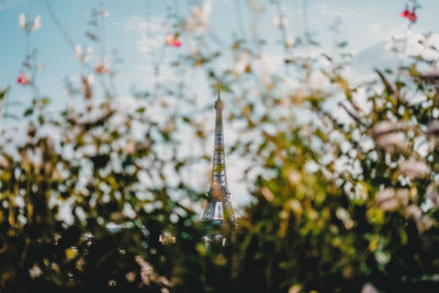 View of eiffel tower hidden by nature