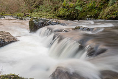 Scenic view of waterfall in forest