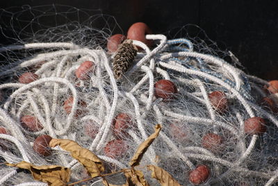 Close-up of fishing net