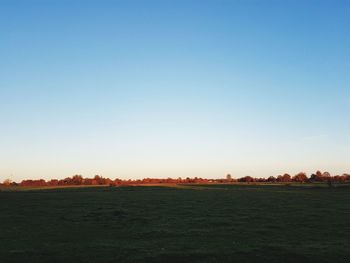 Scenic view of field against clear blue sky