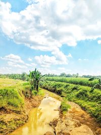 Scenic view of land against sky