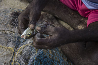 Hands of fisherman holding a fish