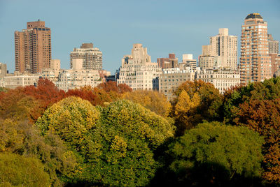 View of trees and cityscape against sky